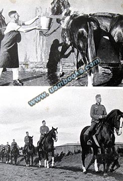 Wehrmacht Cavalry